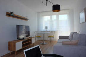 A spacious apartment for holidays and weekends, Gmina Ełk